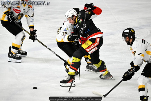 2024-10-19 Mastini Varese-Hockey Feltre 01581